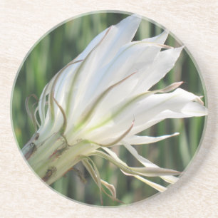 Dessous de verre en grès de Fleur de Cactus