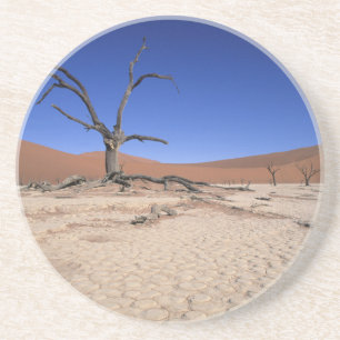 Dessous De Verre En Grès Dead Vlei, Sossusvlei, Parc national de Namib-Nauk