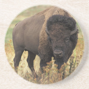 Dessous De Verre En Grès Dessous de verre de grès de bison américain