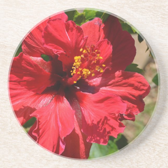 Dessous De Verre En Grès Dessous de verre de grès de l'Hibiscus rouge (Devant)