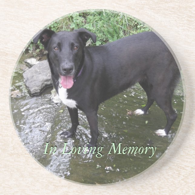 Dessous De Verre En Grès dessous de verre de grès de photo personnalisés (Devant)