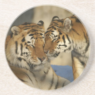 Dessous De Verre En Grès Dessous de verre de grès Tiger Love