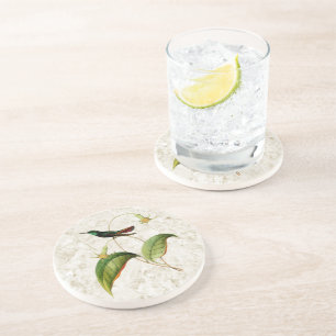 Dessous De Verre En Grès Dessous de verre Throated verts de grès de colibr