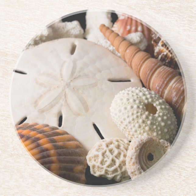 Dessous De Verre En Grès Détail de coquillages du monde entier (Devant)