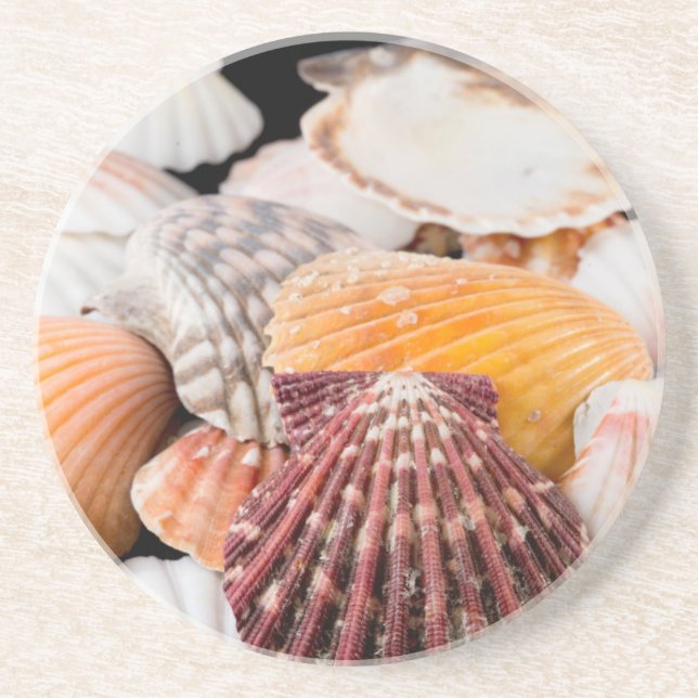 Dessous De Verre En Grès Détail de coquillages du monde entier 2 (Devant)