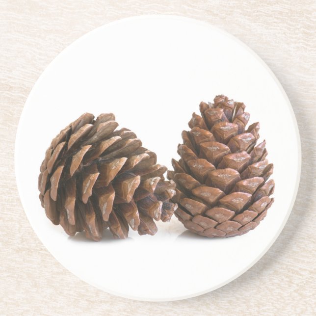 Dessous De Verre En Grès Deux pinecones (Devant)