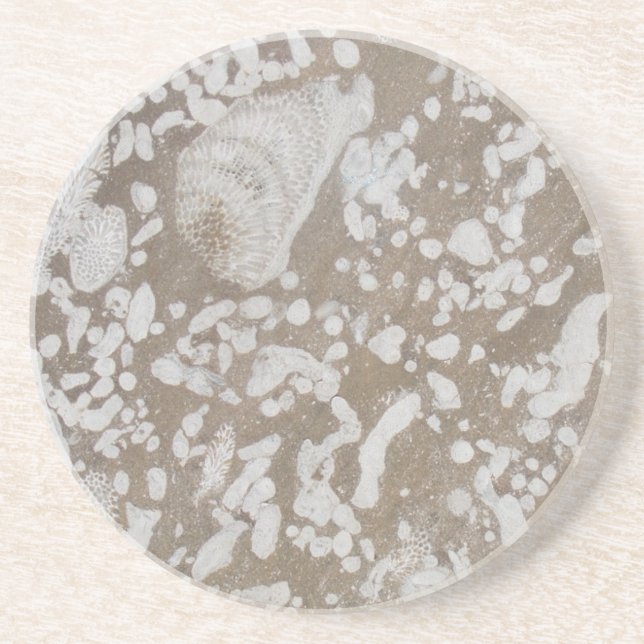 Dessous De Verre En Grès Devonian Fossil Sandstone Drink Coaster (Devant)