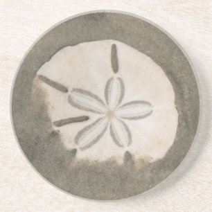 Dessous De Verre En Grès Dollar de sable (Echinarachnius parma)