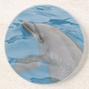 Dessous De Verre En Grès Douces ondulations de dauphin bleu dans de l'eau c