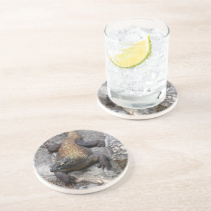 Dessous De Verre En Grès Dragon de Komodo dans une lumière rocheuse