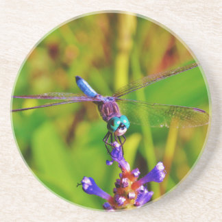 Dessous De Verre En Grès Dragonfly