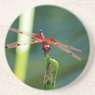 Dessous De Verre En Grès Dragonfly frontale rouge et noire
