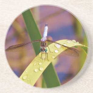 Dessous De Verre En Grès Dragonfly sur la feuille de pluie