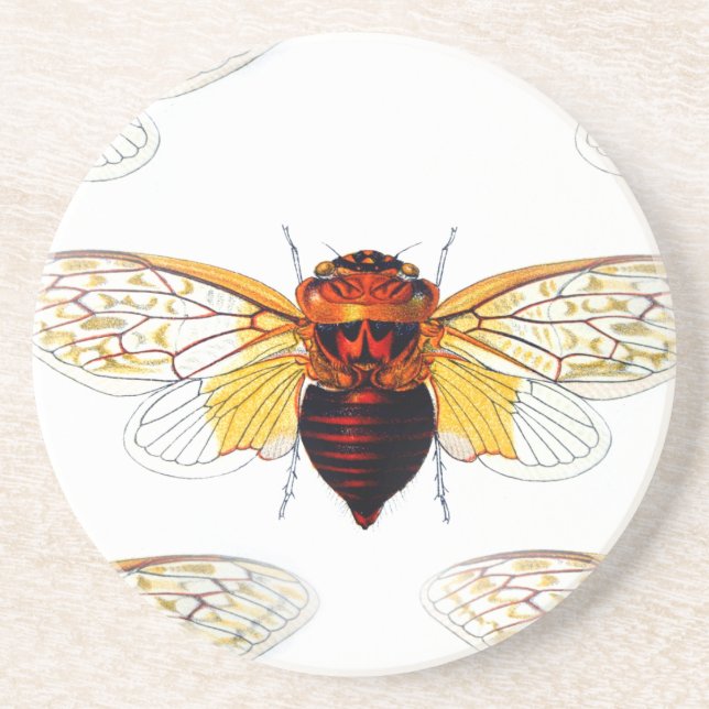 Dessous De Verre En Grès e (Devant)