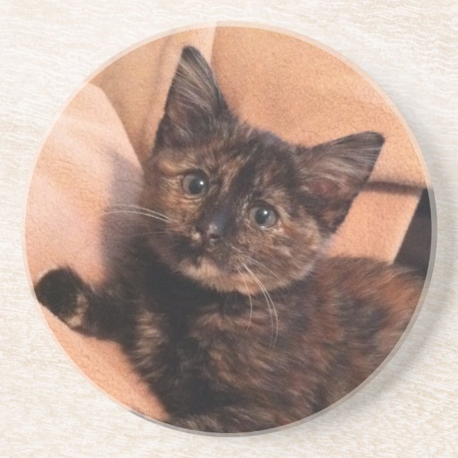 Dessous De Verre En Grès Écaille, Tortie, chaton de Tortie, chaton, chat, (Devant)
