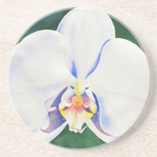 Dessous De Verre En Grès Elégante peinture d'orchidée blanche