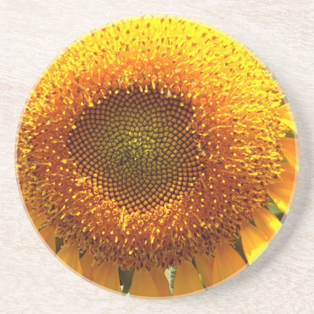 Dessous De Verre En Grès Elégante photo de tournesol (Devant)
