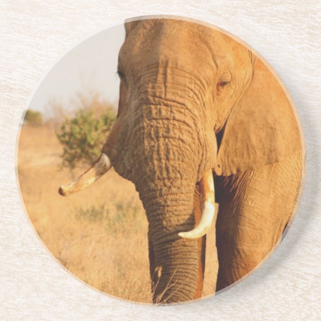 Dessous De Verre En Grès Éléphants (Devant)