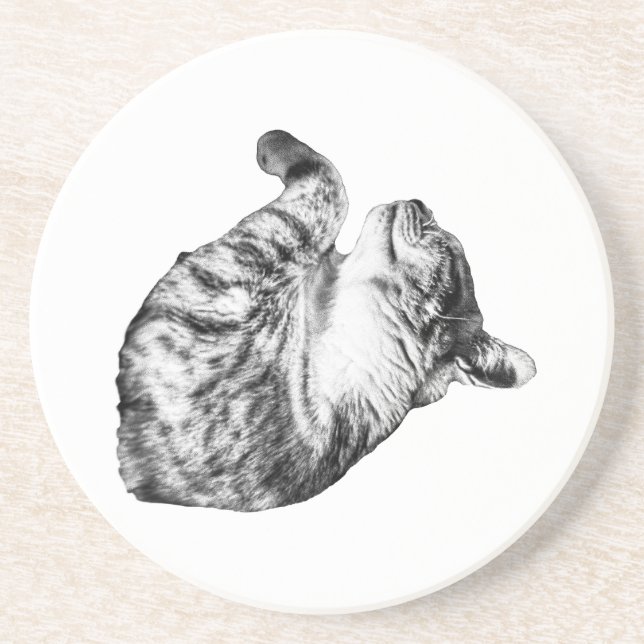 Dessous De Verre En Grès Ember-Step Purr (Devant)