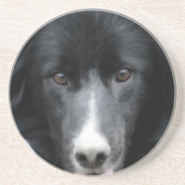 Dessous De Verre En Grès Entent Bordure Collie Visage Chien Dessous de verr (Devant)