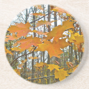 Dessous De Verre En Grès Érable d'automne