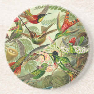 Dessous De Verre En Grès Ernst Haeckel Trochilidae