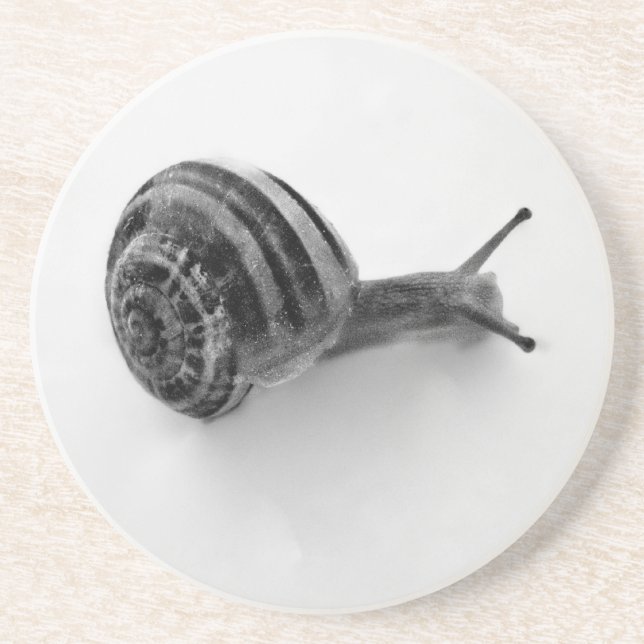 Dessous De Verre En Grès Escargot noir et blanc (Devant)