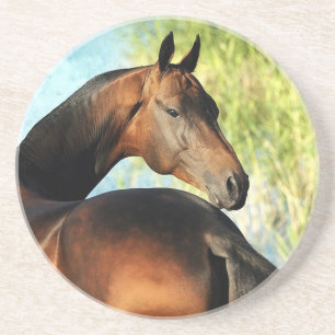 Dessous De Verre En Grès étalon d'Akhal-teke