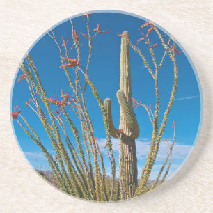 Dessous De Verre En Grès États-Unis, Arizona. Cactus dans le parc national