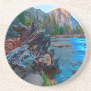 Dessous De Verre En Grès États-Unis, Californie. Racines D'Arbres Dans La R