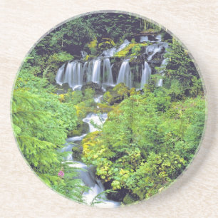 Dessous De Verre En Grès États-Unis, État de Washington, Mt Adams Wildern