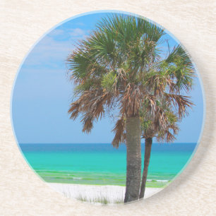 Dessous De Verre En Grès États-Unis, Floride. Palmiers Sur La Côte D'Émerau