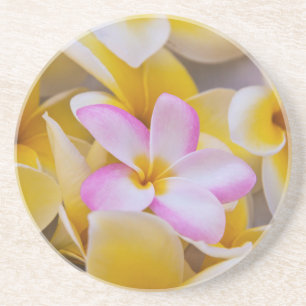 Dessous De Verre En Grès États-Unis, Hawaï, Oahu, fleurs de Plumeria en fle