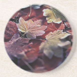 Dessous De Verre En Grès États-Unis, Pacifique Nord-Ouest. Feuilles d'érabl