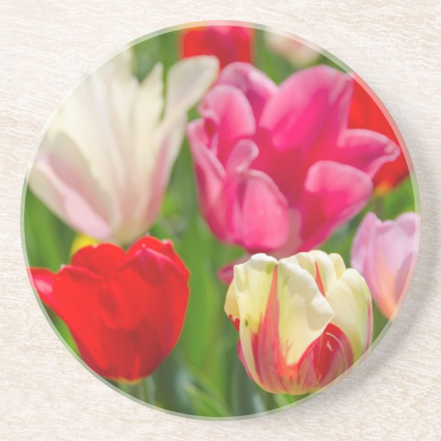 Dessous De Verre En Grès États-Unis, Tennessee, Nashville (Devant)