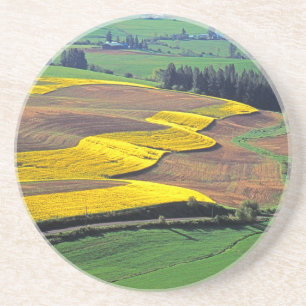 Dessous De Verre En Grès États-Unis, Washington, Palouse, Comté de Whitman
