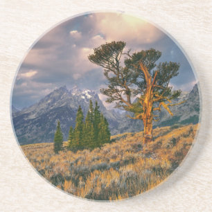 Dessous De Verre En Grès États-Unis, Wyoming, Grand Teton NP. Le lever du s
