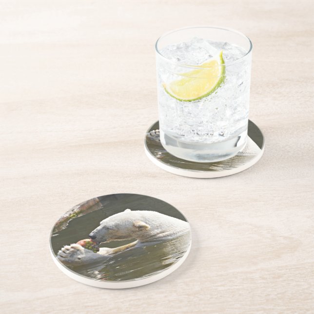 Dessous De Verre En Grès Étude d'ours polaire mangeant des fruits (Côté)