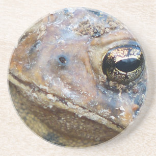 Dessous De Verre En Grès Face de crapaud