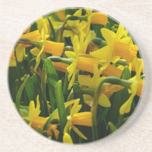 Dessous De Verre En Grès Famille Daffodil
