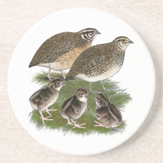 Dessous De Verre En Grès Famille des Cailles Coturnix (Devant)