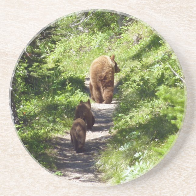 Dessous De Verre En Grès Famille d'ours bruns (Devant)