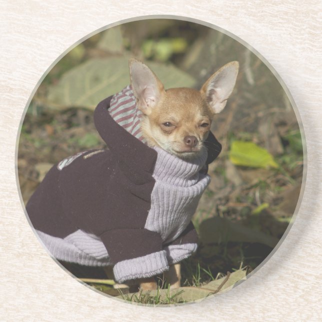 Dessous De Verre En Grès Fancy Chihuahua (Devant)