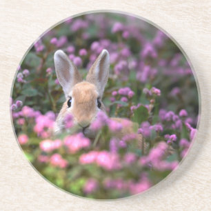 Dessous De Verre En Grès Ferme de lapins