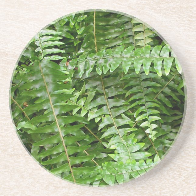 Dessous De Verre En Grès Fermer Fronds I Green Nature (Devant)
