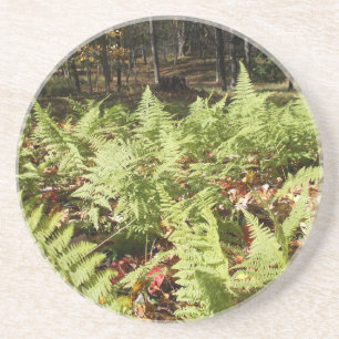 Dessous De Verre En Grès Fermes d'automne