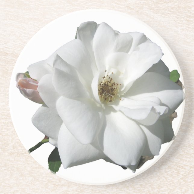 Dessous De Verre En Grès Fête de Mariage Fleurs de Rosée Blanche Destinée (Devant)