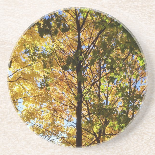 Dessous De Verre En Grès Feuillage d'automne jaune et vert (Devant)