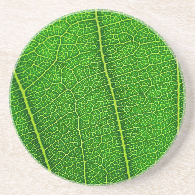 Dessous De Verre En Grès Feuille (Devant)