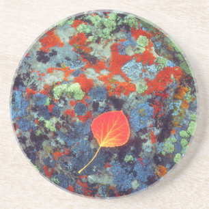 Dessous De Verre En Grès Feuille de tremble sur une roche couverte de liche